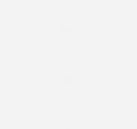 SAL SEBAH VM MOTORI DIESEL ENGINES